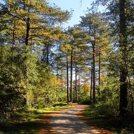 Ferienhaus The Highlander- Stylish Hideaway Near & Forest Schoorl And Bergen- Dogs Welcome