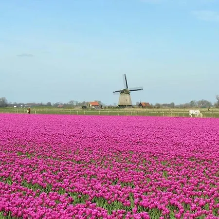 The Highlander- Stylish Hideaway Near & Forest Schoorl And Bergen- Dogs Welcome