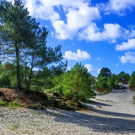 The Highlander- Stylish Hideaway Near & Forest Schoorl And Bergen- Dogs Welcome