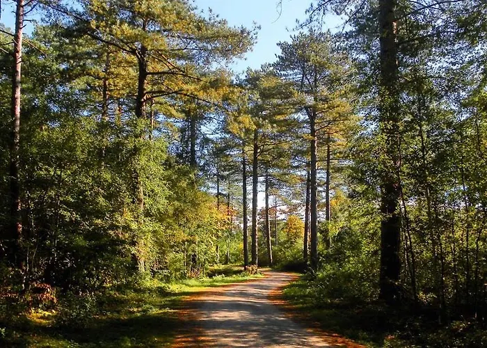 Vakantiehuis The Highlander- Stylish Hideaway Near & Forest Schoorl And Bergen- Dogs Welcome