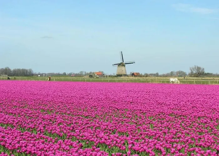 The Highlander- Stylish Hideaway Near & Forest Schoorl And Bergen- Dogs Welcome