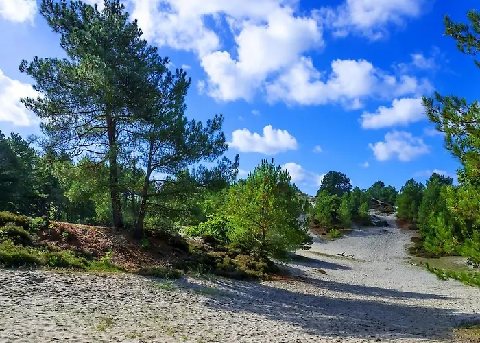 The Highlander- Stylish Hideaway Near & Forest Schoorl And Bergen- Dogs Welcome