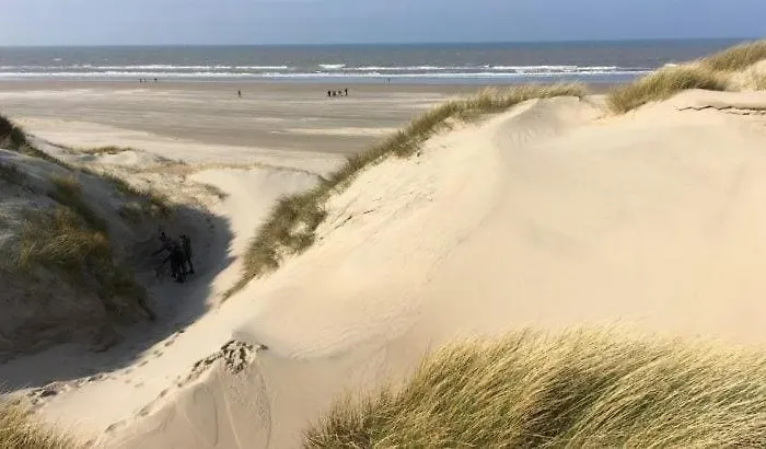 Vakantiehuis The Highlander- Stylish Hideaway Near & Forest Schoorl And Bergen- Dogs Welcome Warmenhuizen