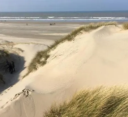 別荘 The Highlander- Stylish Hideaway Near & Forest Schoorl And Bergen- Dogs Welcome Warmenhuizen